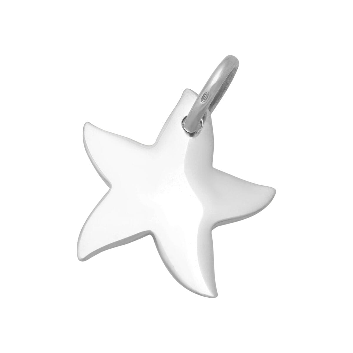 Ciondolo dodo stella marina grande in argento 925%-1