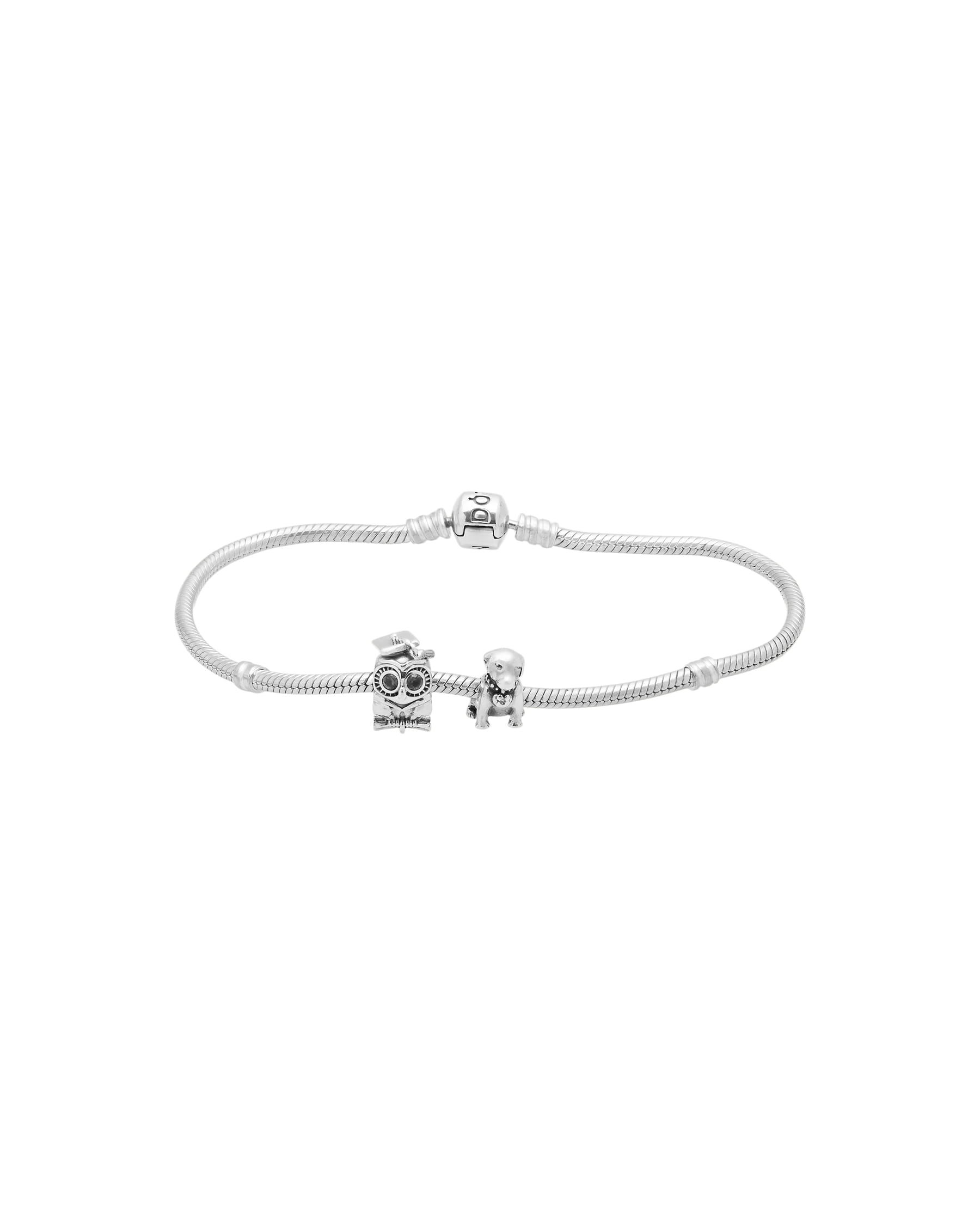 Bracciale pandora momentcon charm cane a gufo laureato-1