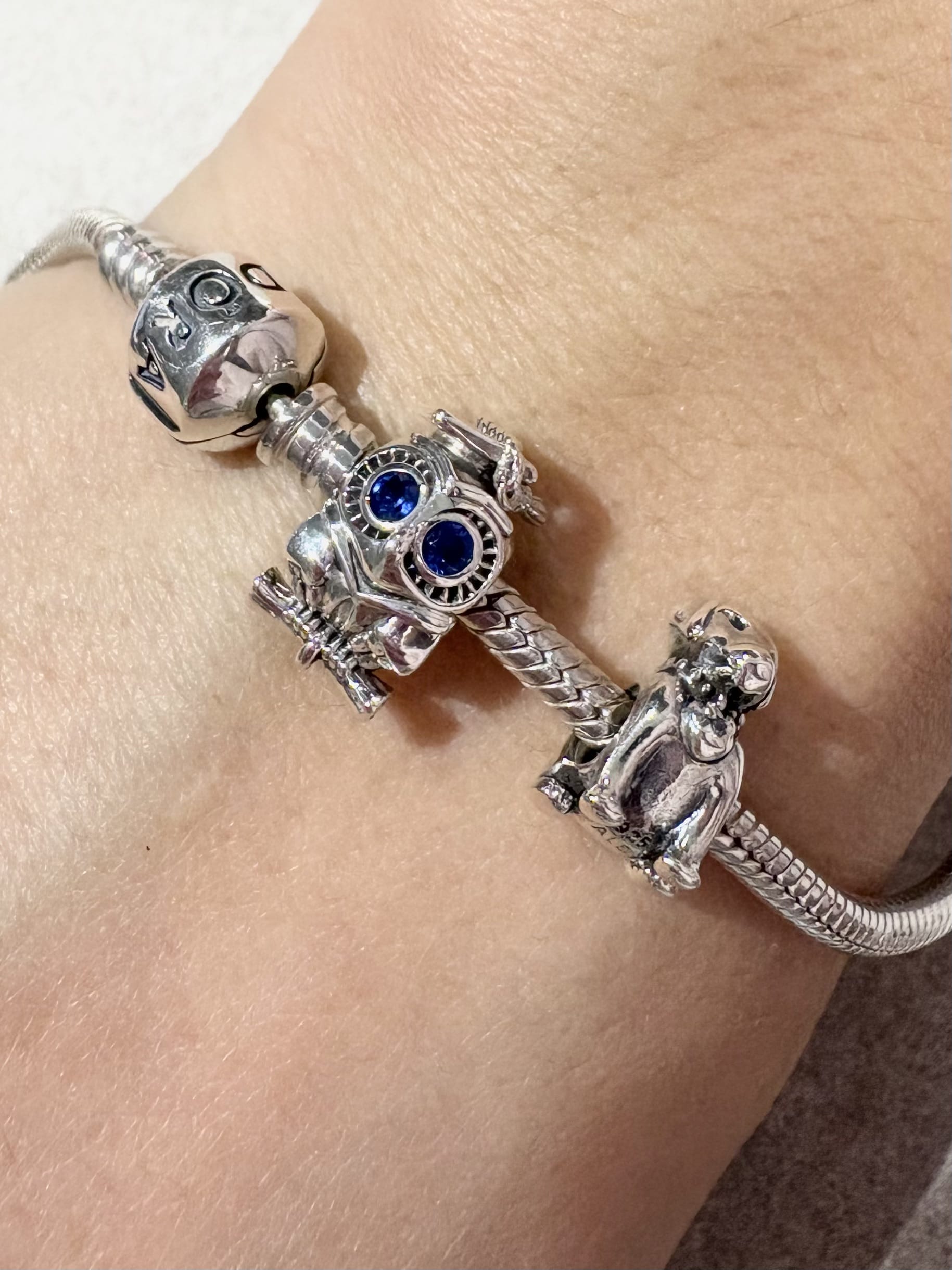 Bracciale pandora momentcon charm cane a gufo laureato-2