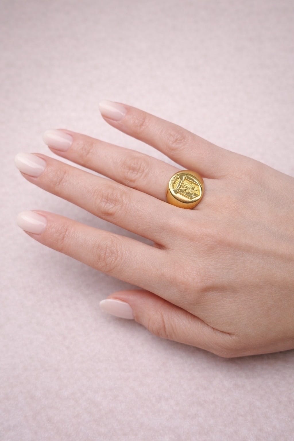 Anello sigillo con stemma in oro giallo-4