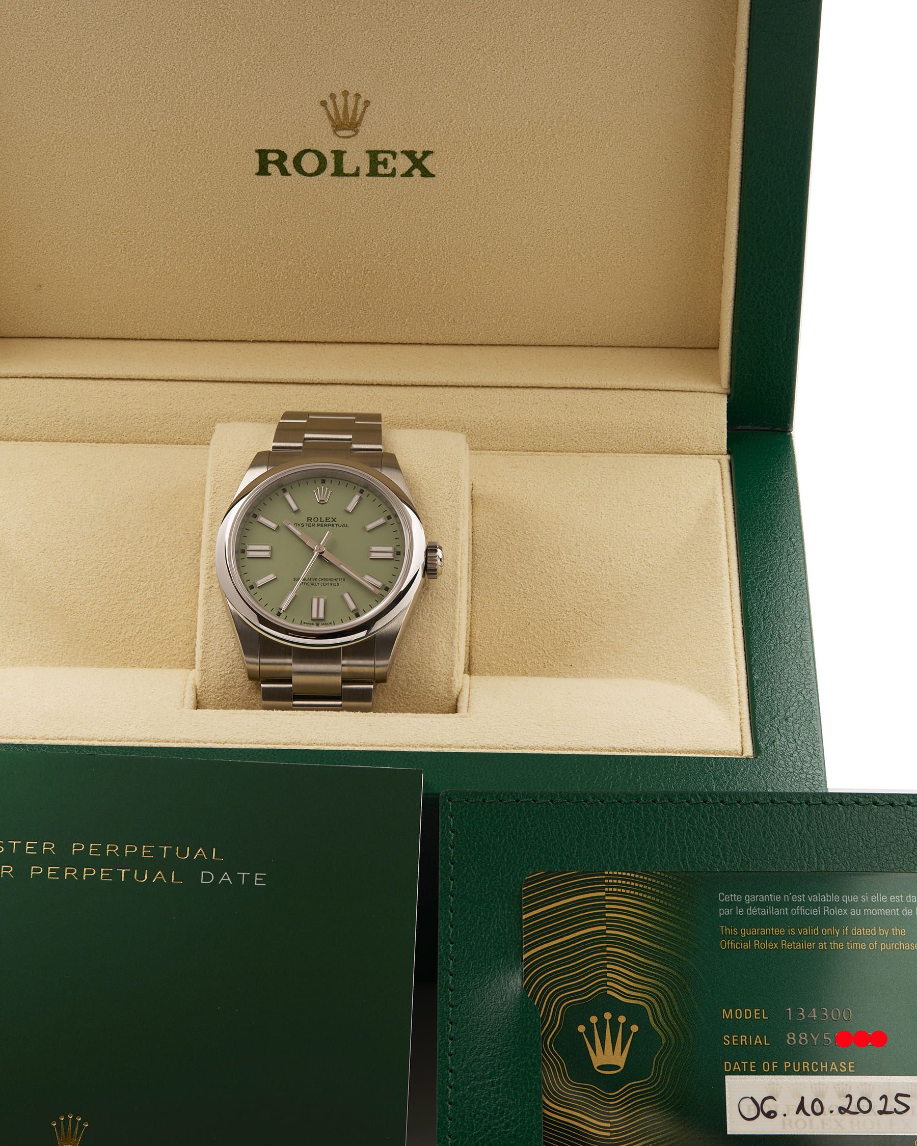 Rolex oyster perpetual 41 pistachio dial ref 134300-6